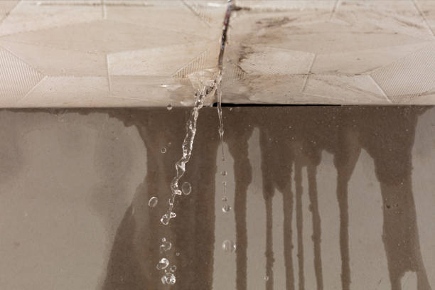 Professional Water Extraction technician working in Metamora, OH